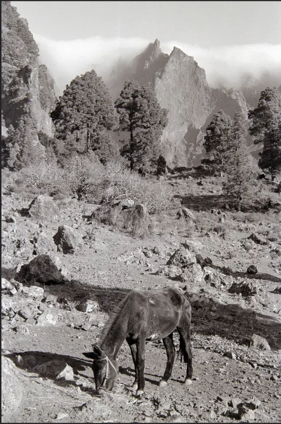 Excursión a La Caldera.